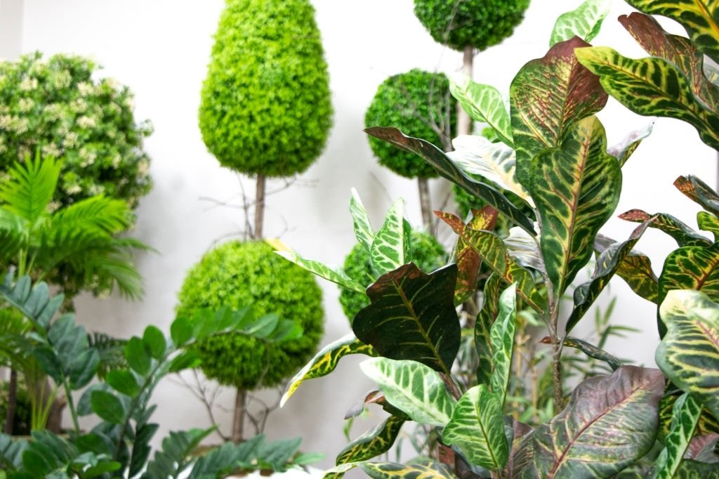 How to Become A Successful Artificial Plant Manufacturer