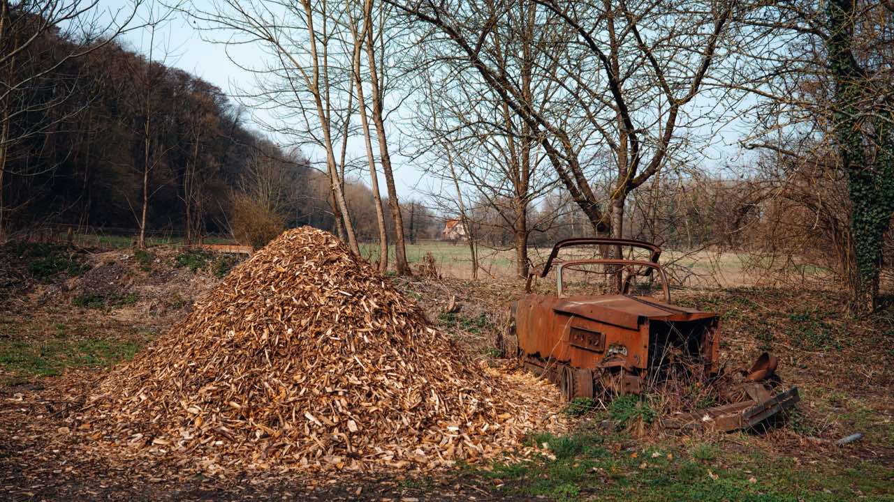 Why Wood Chipper Teeth Wear Differently Depending on Whether You're Chipping Green or Seasoned Wood