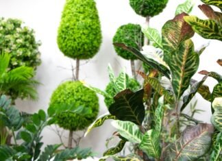 How to Become A Successful Artificial Plant Manufacturer