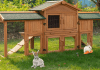 How to choose a rabbit hutch