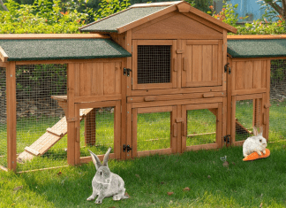 How to choose a rabbit hutch